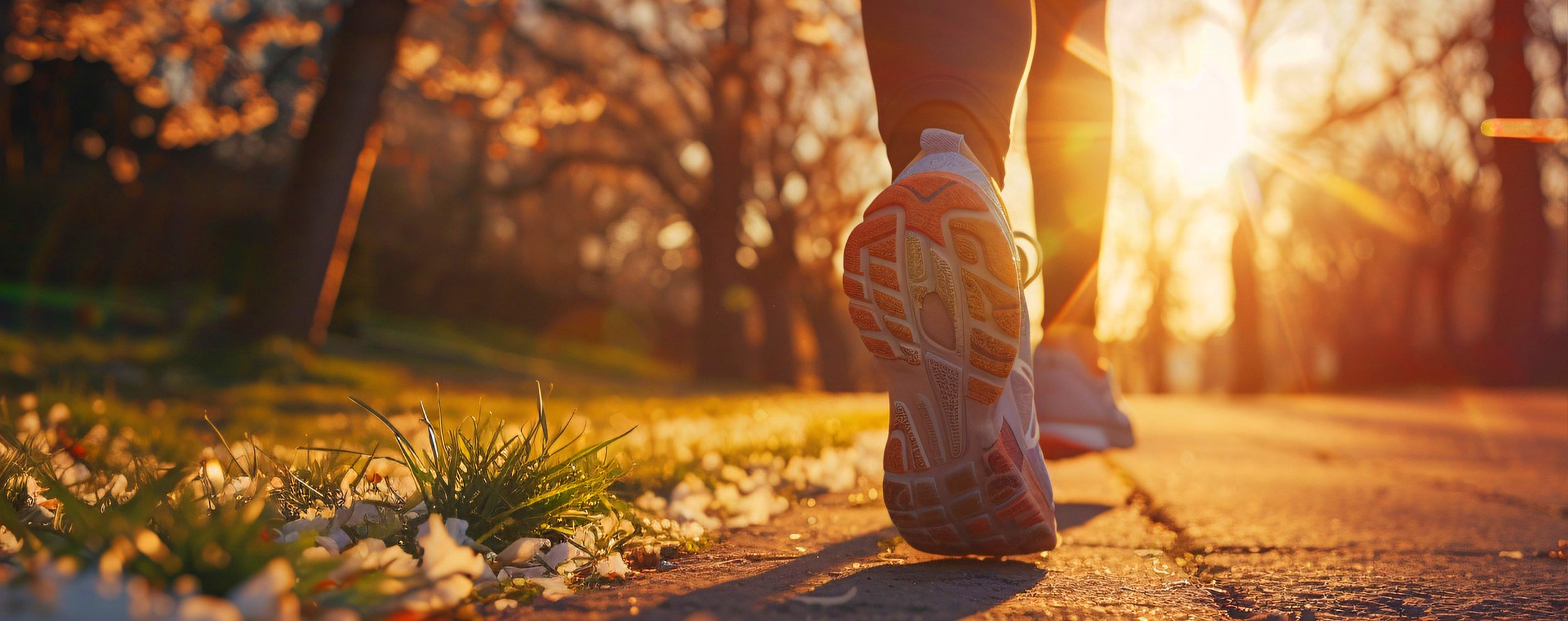 Runner's shoes on a sunlit path, embodying active wellness withPro-Fit's healthy lifestyle.
